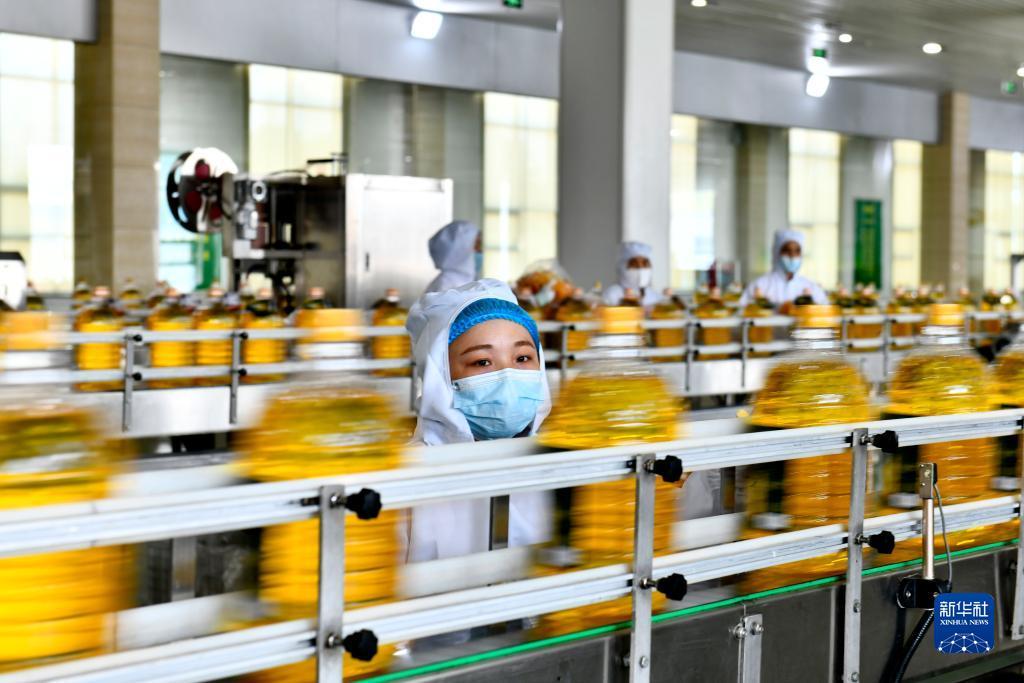 万能捕鱼修改器